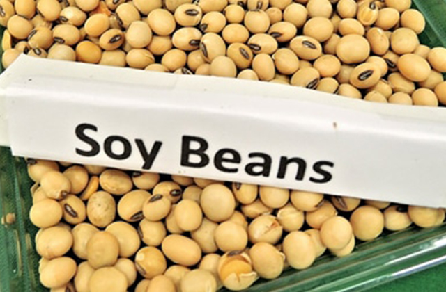 3 Common Myths About Soy, Debunked