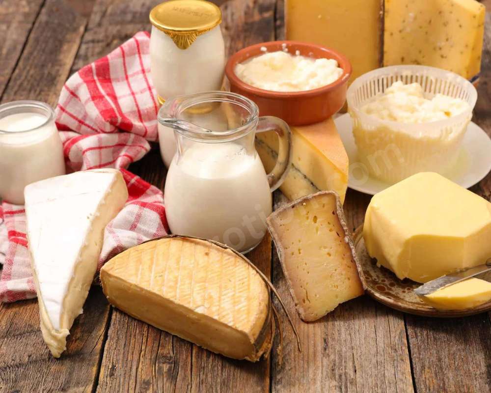 Dairy-Rich Options