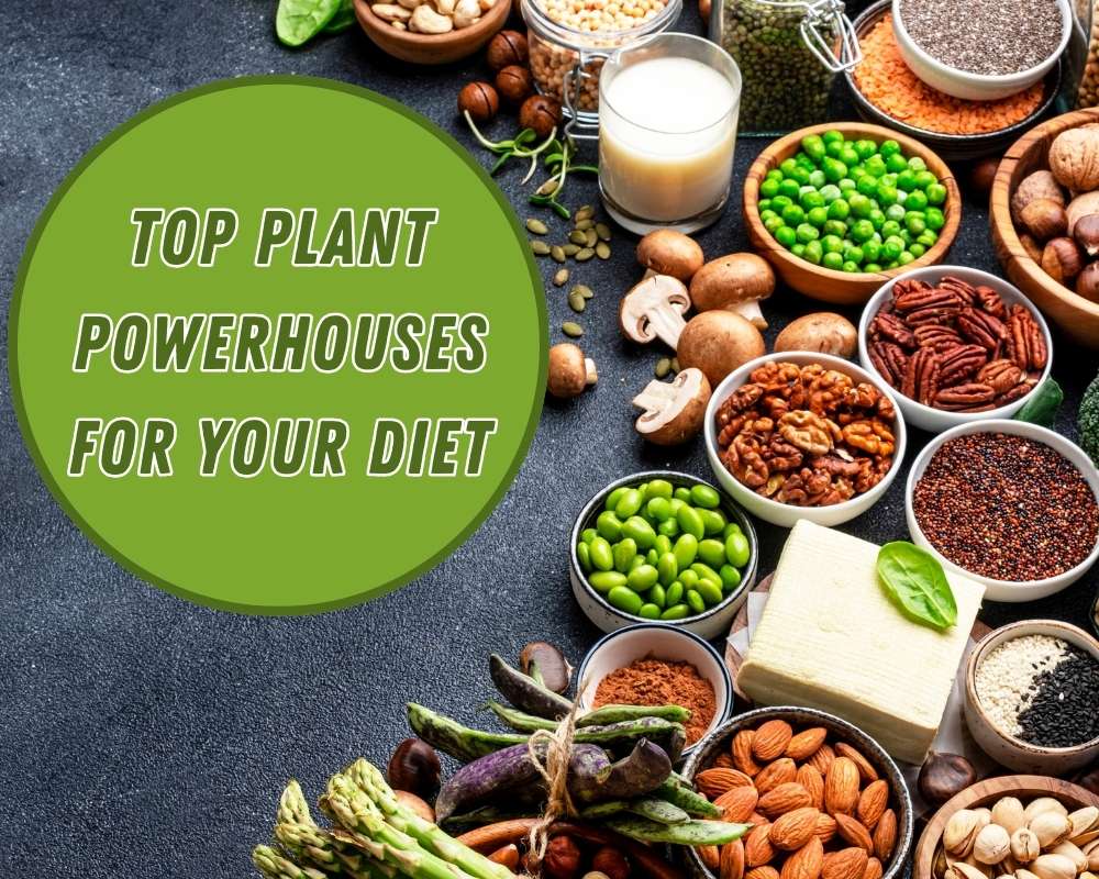 Top Plant Powerhouses for Your Diet