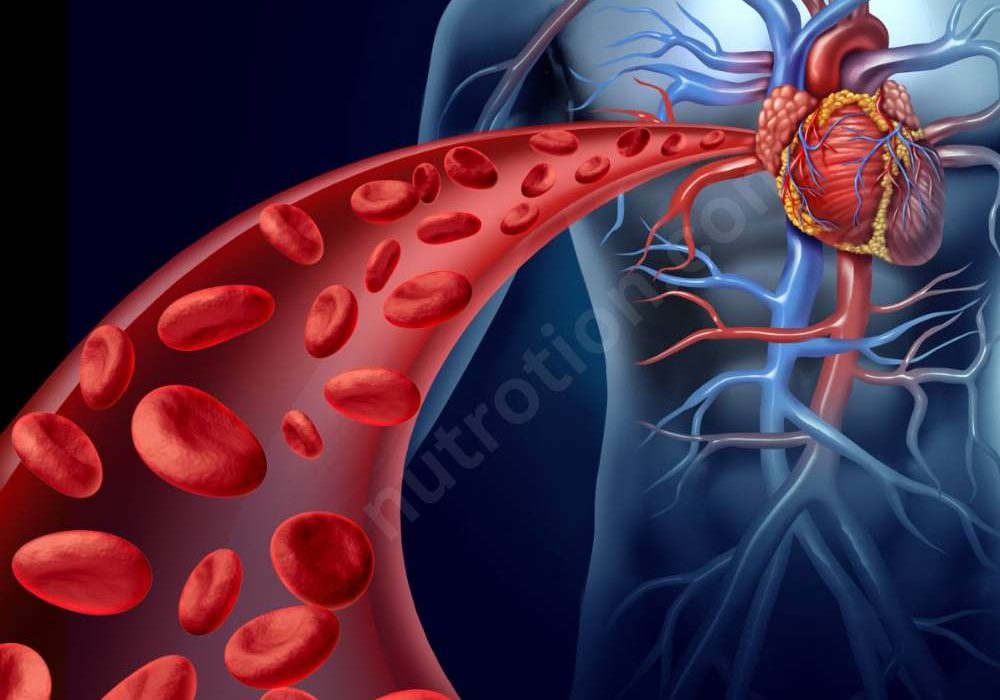 Boosting Your Red Blood Cells: Dietary and Lifestyle Changes