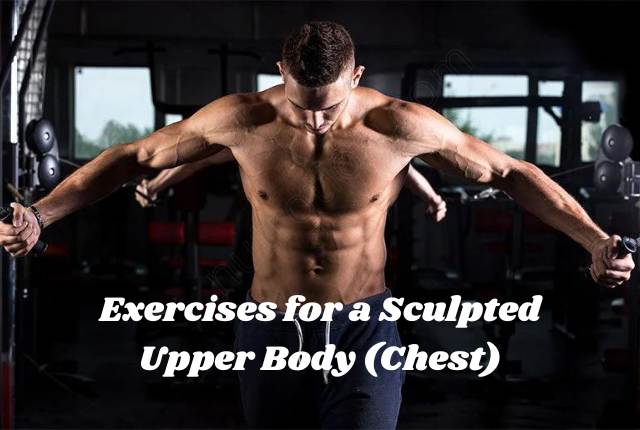 Exercises for a Sculpted Upper Body (Chest)