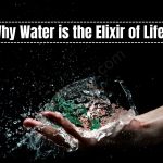 Why Water is the Elixir of Life?