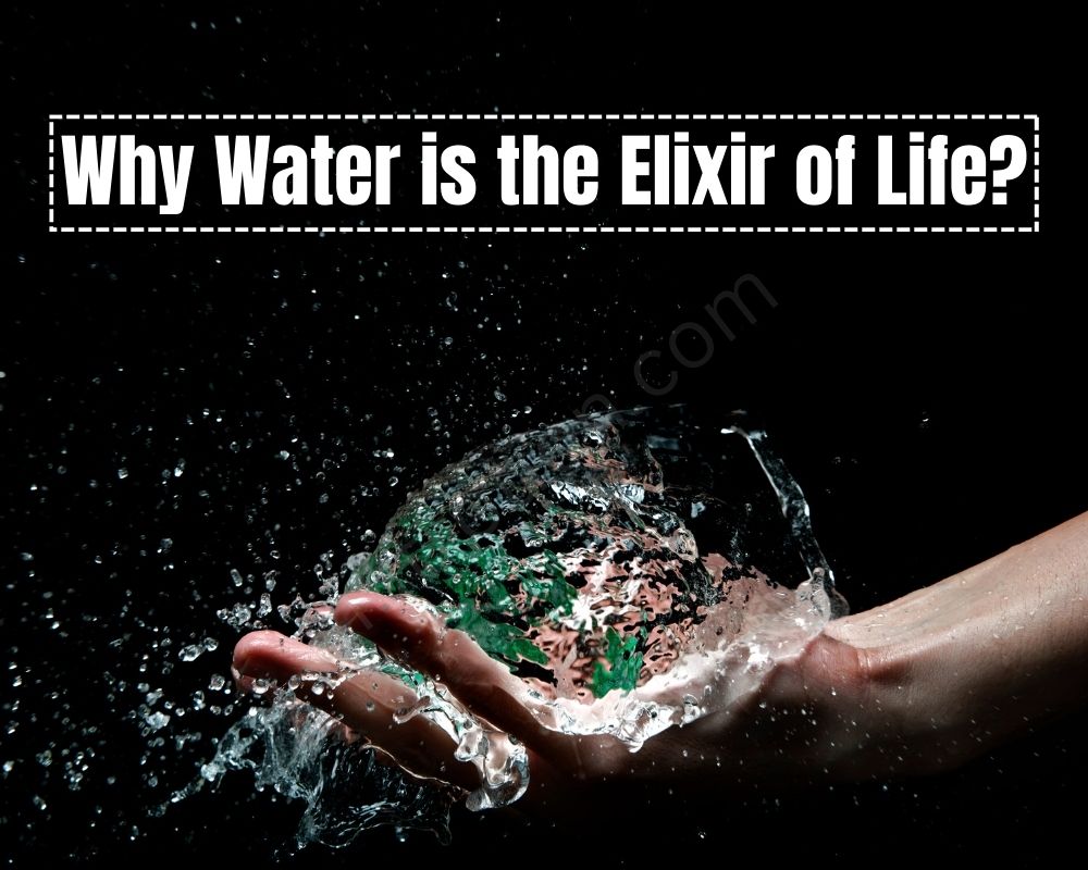 Why Water is the Elixir of Life?