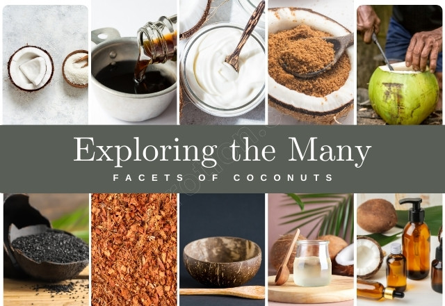 Exploring the Many Facets of Coconuts