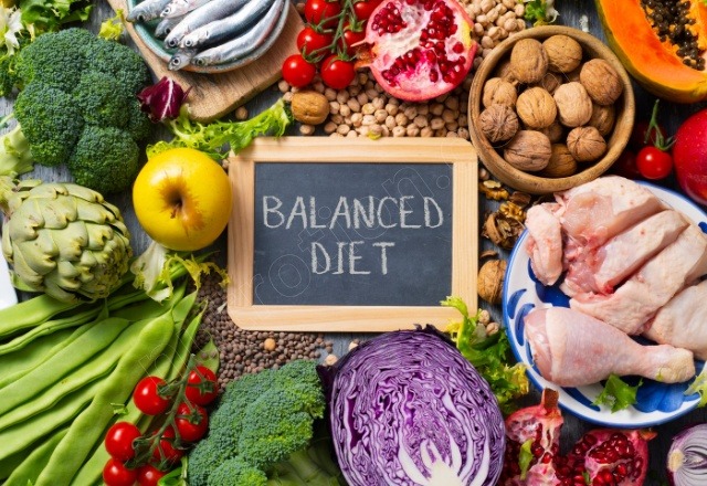 Guide to Diet Building a Foundation for Health and